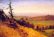 Albert Bierstadt Newbraska Wasatch Mountains USA oil painting artist